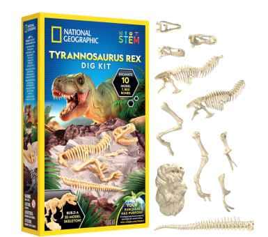 Set excavación Tiranosaourio Rex